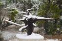 Latest Exhibitions in Austin